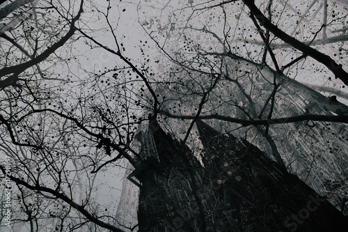 Church with trees, low angle view, black and white