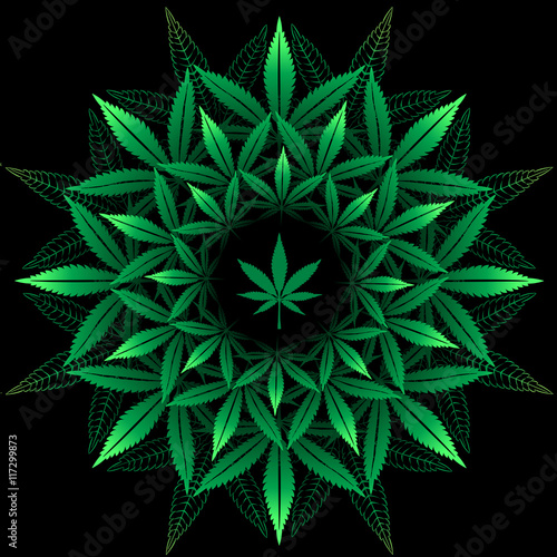 Round pattern from cannabis leaf on black