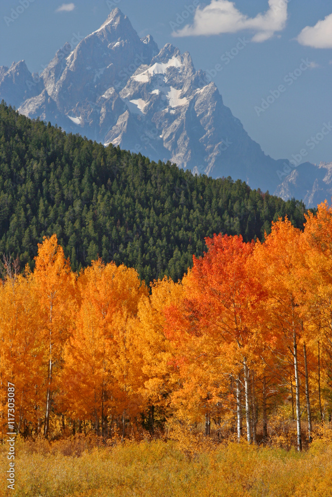 Autumn landscape in the Tetons