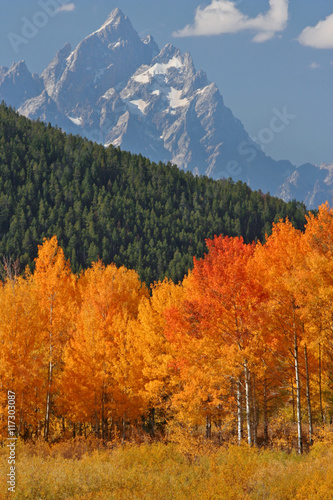 Autumn landscape in the Tetons