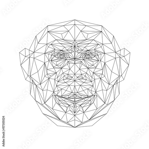 Polygonal monkey animal. Vector monkey illustration for tattoo, coloring, wallpaper and printing on t-shirts. Chimpanzee silhouette in thin line style. Abstract mammal low poly design.