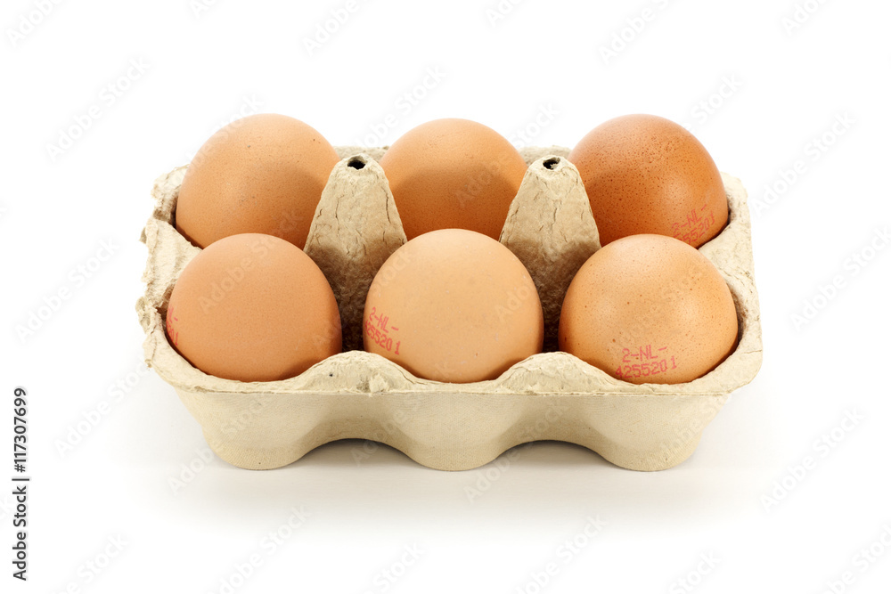 Six Eggs in Carton Six Eggs in Carton