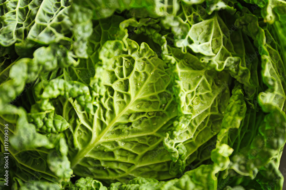 Fresh savoy cabbage, closeup Fresh savoy cabbage, closeup
