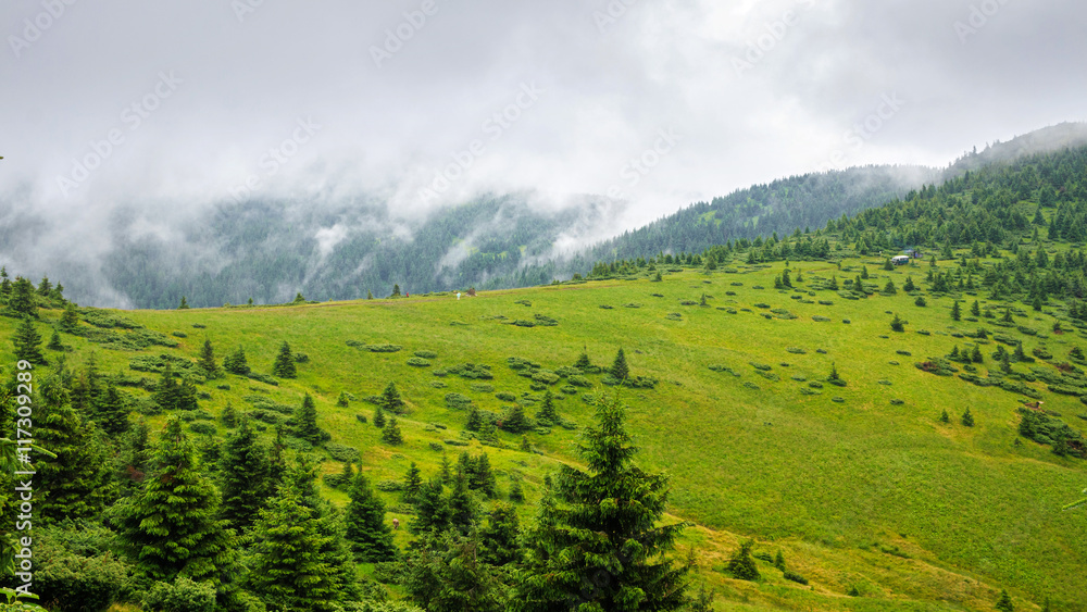 Picturesque Carpathian mountains landscape. Chornogora ridge, Ukraine, Europe.