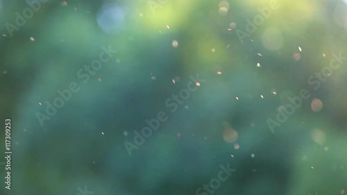 Pollen flying in air over green trees background. Charming beautiful green nature background.