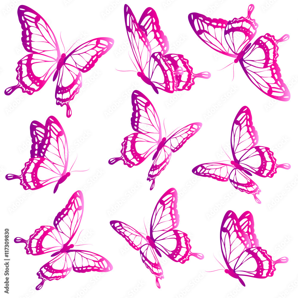 Fototapeta premium color butterflies,isolated on a white
