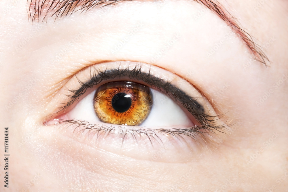 Obraz premium Beautiful insightful look brown woman's eyes