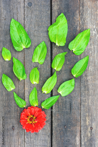 red flower with green leaves on the vintage wooden floor