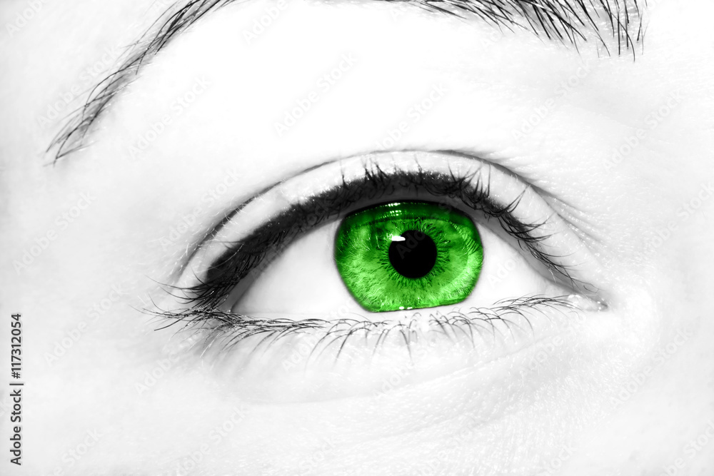 Beautiful insightful look green woman's eyes Beautiful insightful look green woman's eyes