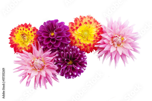 Photo colorful dahlias
