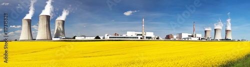 Nuclear power plant with field of rapeseed