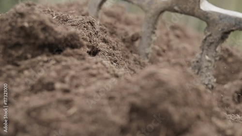 Wallpaper Mural Garden Fork Digging A Veggie Patch With Compost In Spring Torontodigital.ca