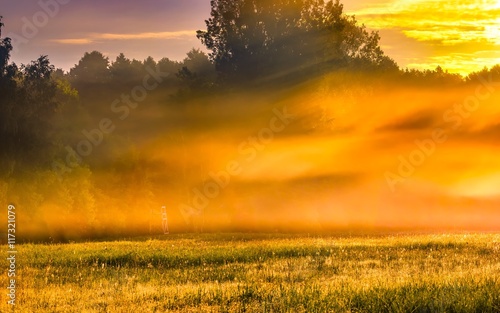 Beautiful morning foggy meadow landscape