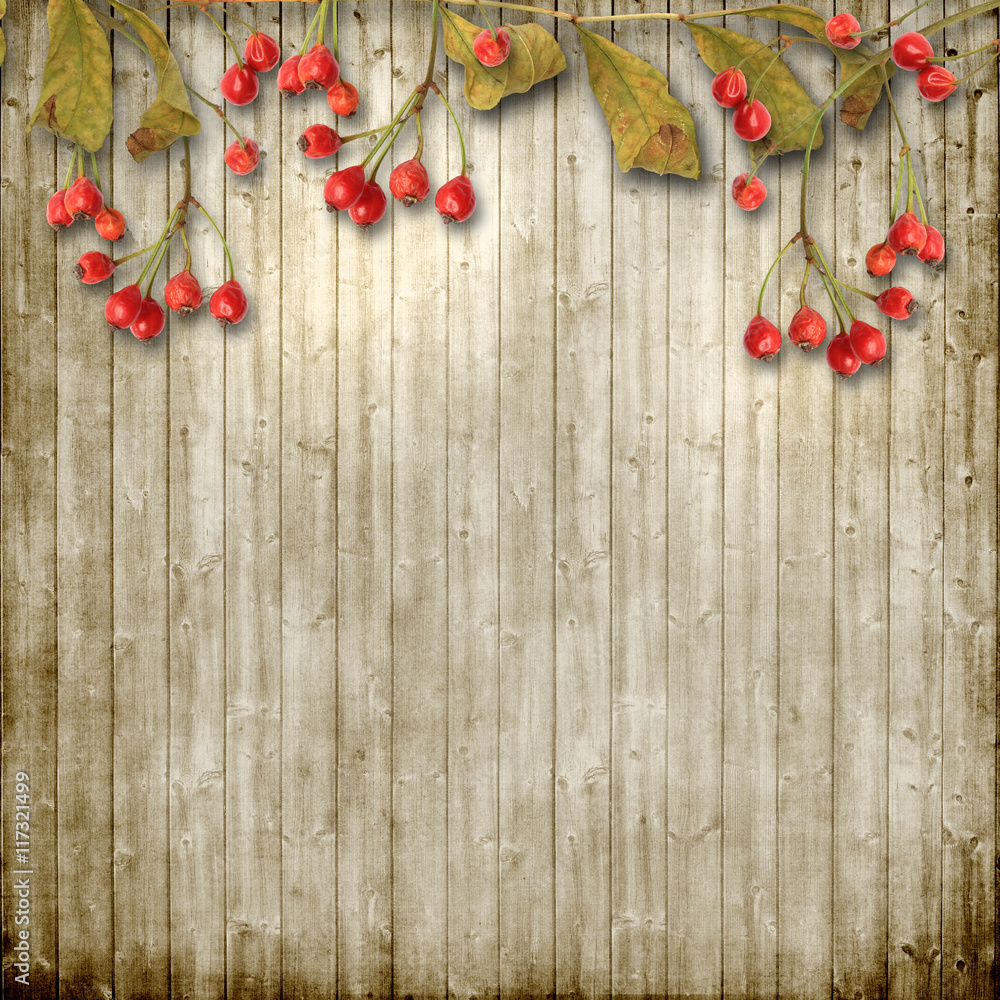 Vintage wooden background with autumn ashberry