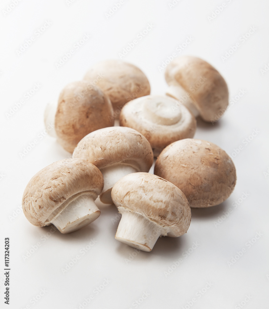 fresh champignon mushrooms isolated on white fresh champignon mushrooms isolated on white