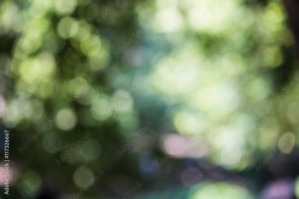 Obraz premium soft background take by lens blur