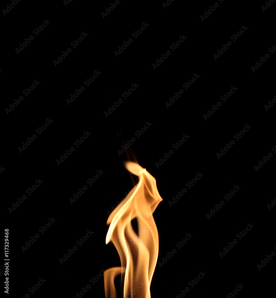 Fire flame on black background