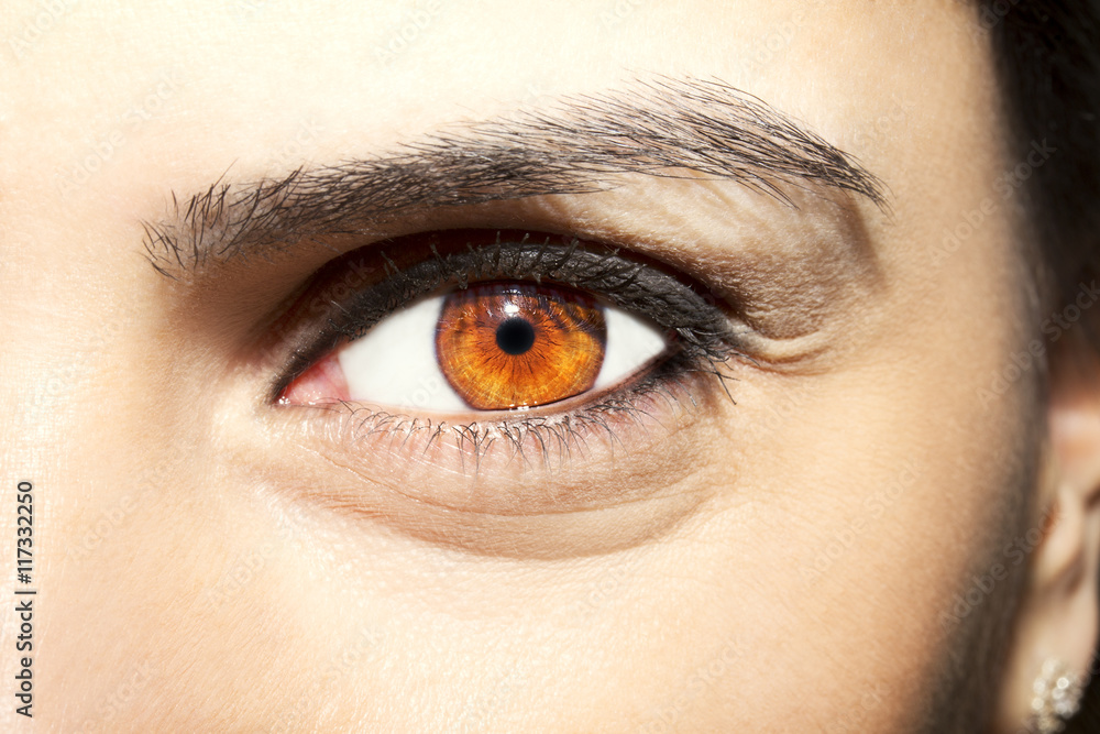 Obraz premium Beautiful insightful look brown woman's eye