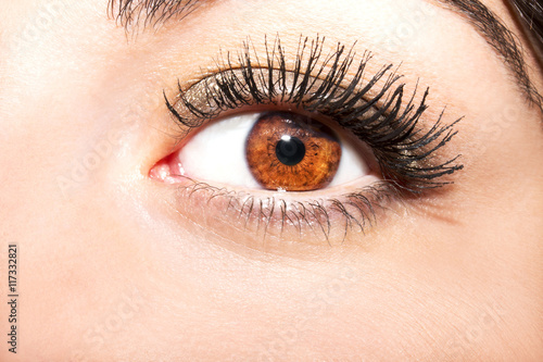 Woman brown eye with extremely long eyelashes