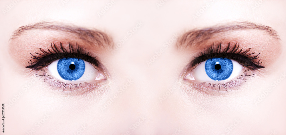 Fototapeta premium Beautiful insightful look blue woman's eyes