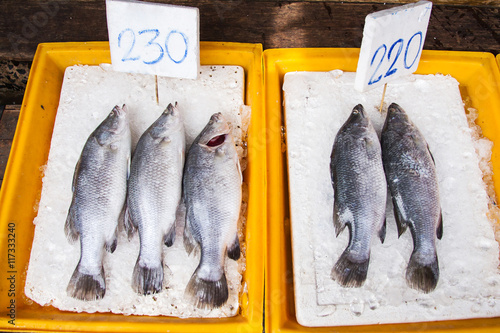 Sea fish in fresh market at ferry of Angsila, Choburi, Thailand. photo