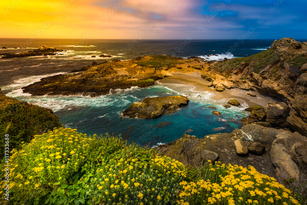 Point Lobos State Park California
