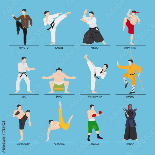 Fototapeta Asian martial arts vector illustration