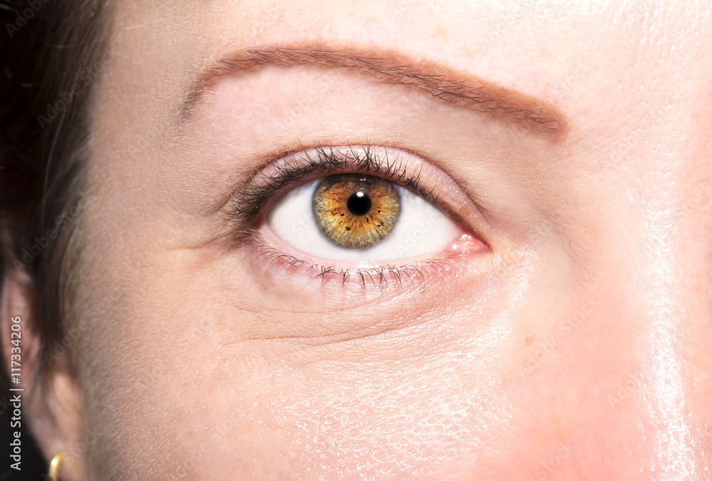 Beautiful insightful look brown woman's eyes Beautiful insightful look brown woman's eyes