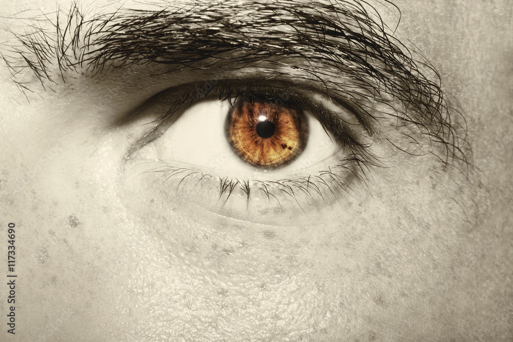 Obraz premium Image of man's vintage eye close up.