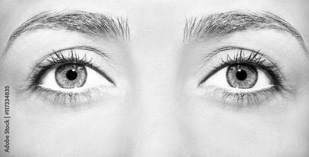 Beautiful insightful look brown woman's eyes.