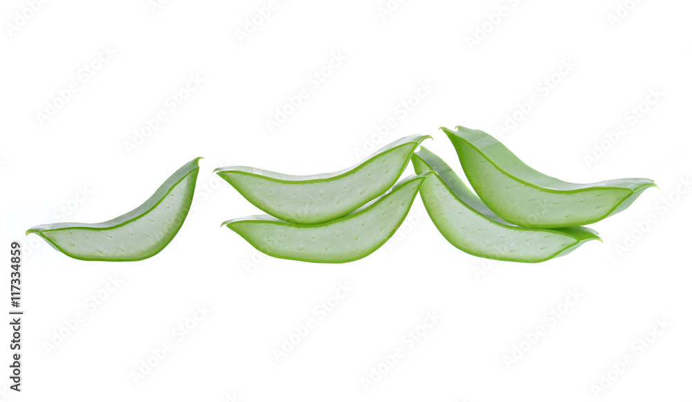 Aloe isolated on white background. Aloe isolated on white background.