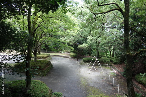 夏の公園