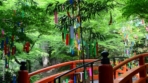 夏の風物詩　七夕祭り