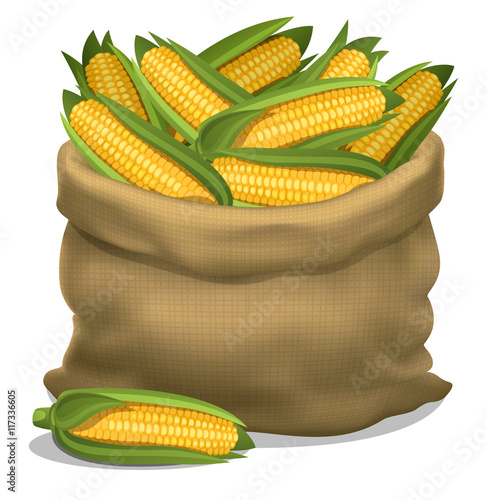 Illustration of a sack of corn on a white background. Vector