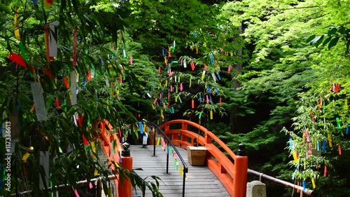 夏の風物詩　七夕祭り