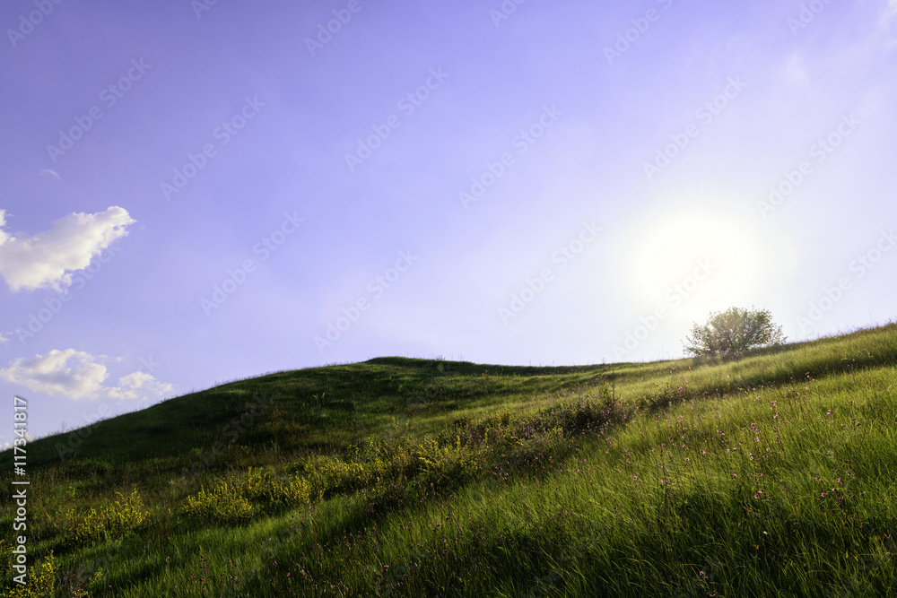 Fototapeta premium Meadow on the hill