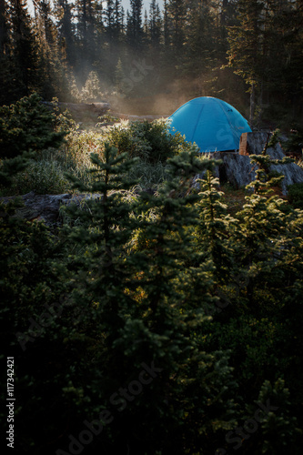 Tourist tent in wild forest. Morning in taiga