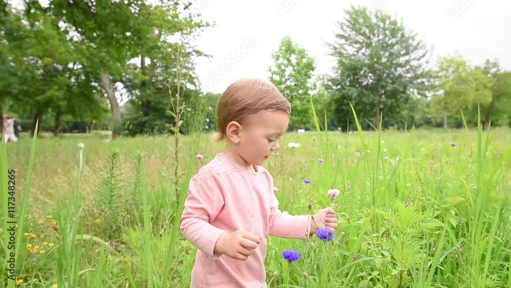 Cute little girl playing in wild flower field Cute little girl playing in wild flower field