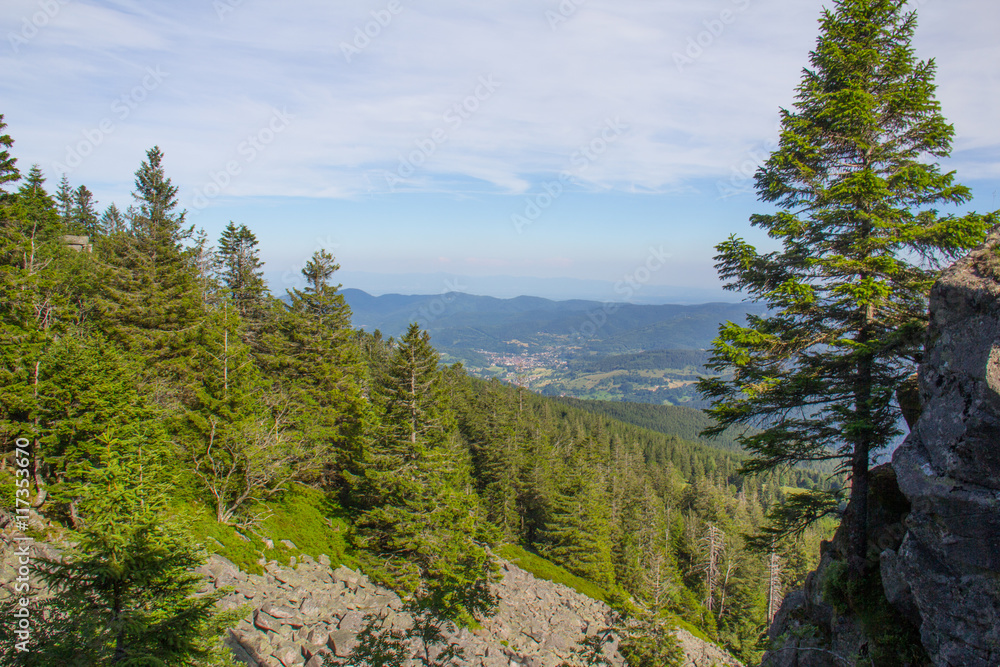 Paysage des Vosges Paysage des Vosges