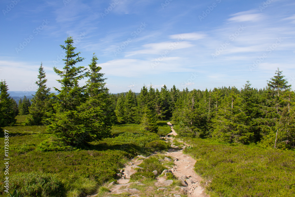 Obraz premium Paysage des Vosges