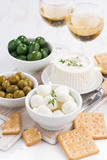 soft cheeses, crackers and pickles for wine, vertical