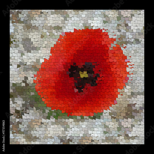 The flowers of red poppy closeup on grey background.
