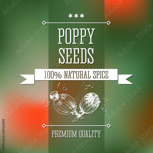 Spice poppy seeds neat hand drawn monochrome label flavour modern design. Poppy seeds sketch