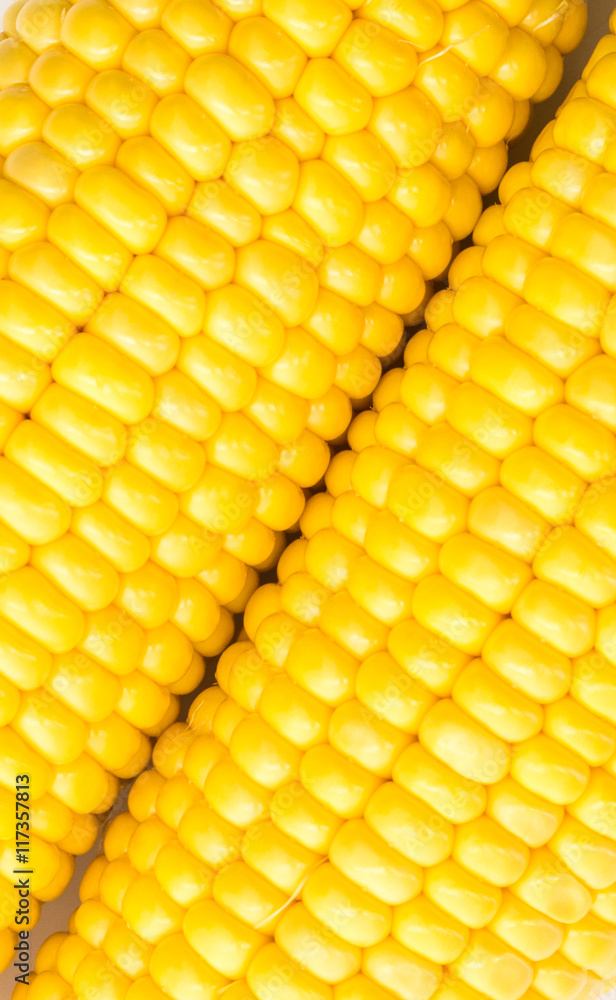 Fresh Corn With Cob Fresh Corn With Cob