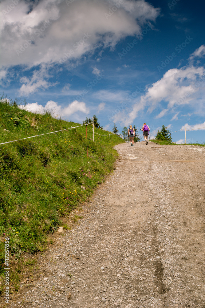 Mädchen wandern in den Alpen