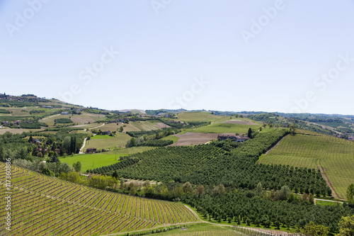 Landscape in Langhe region, Italy