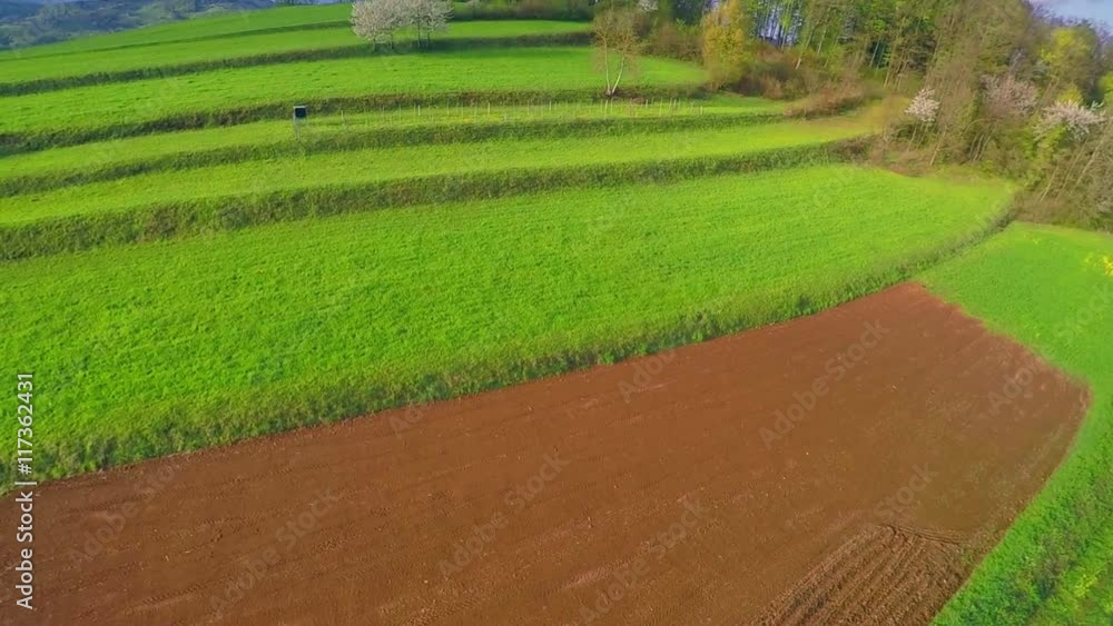 Nature looks fascinating and beautiful in spring time. The meadows are alluring and marvellous. Wide-angle shot.
Nature looks fascinating and beautiful in spring time. The meadows are alluring and marvellous. Wide-angle shot.