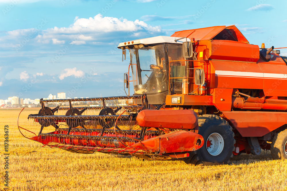 Fototapeta premium Combine harvester working