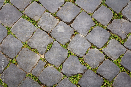 cobblestone with green grass sprouting in Rome