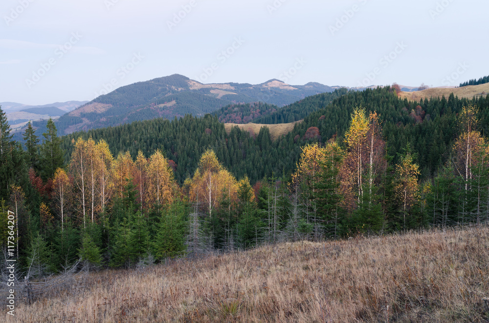 Landscape with autumn forest on the hillside